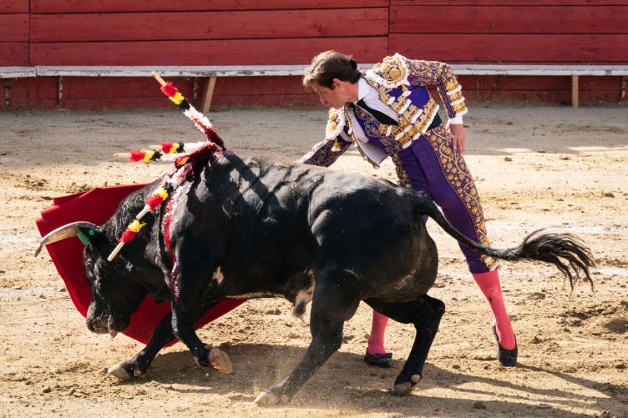 TIJUANA, MEXICO - APRIL 24: Julian El Julio Lopez fights a bull during Gran Corrida De Toros at the Plaza Monumental Playas de Tijuana on April 24, 2022 in Tijuana, Mexico. In 1998, Lopez became became the youngest professional bullfighter in the history at aged 15. (Photo by Sye Williams/Getty Images)