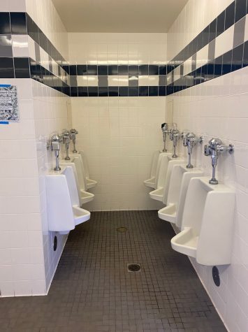 This photo is replicable in every boys restroom