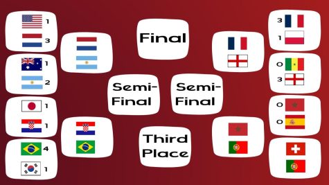 World Cup Quarterfinal
Teams