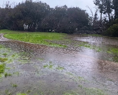 The rain flooded the Elwood Bluffs Monday afternoon. Photo courtesy of Anna Gilmore.