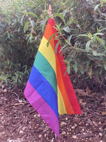 Pride flag hidden in bushes on DP campus.