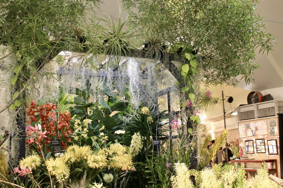 This art display, which includes a variety of orchid species and various other plants, was one of many exhibitions at SB’s 75th annual Orchid Show.