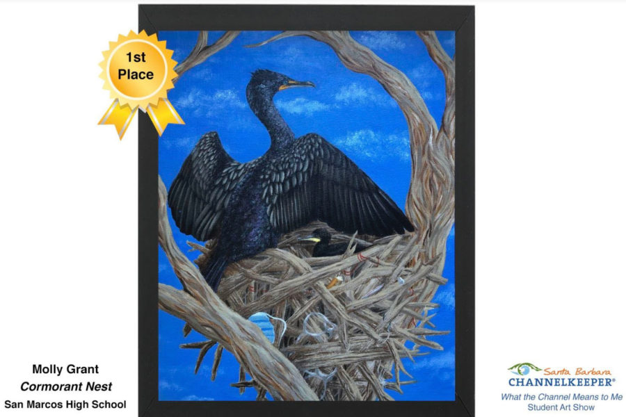 Molly+grant+from+San+Marcos+High+School%E2%80%99s+first+place+winning+bird+in+a+nest+art+work+named+Cormorant+Nest