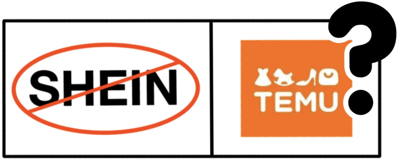 What SHEIN is Doing Wrong: The Importance of Having an Ethical Supply Chain