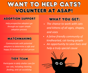 A poster for ASAP, with black and white lettering, on a pink-orange background. In the lower right is a cartoon cat. The poster reads, Want to help cats? Volunteer at ASAP! at the top, before breaking into two sides. The left has three paragraphs: adoption support, matchmaking, and tidy team. Adoption support says: Help prospective adopters go through our super simple adoption process, matchmaking says communicate with potential adopters to determine a safe and happy fit between cat and person and tidy team says, participate in daily shelter care for our cats, including cleaning, feeding, and cat socializing. The right is under a what you get: category, with three bullet points. The first says, The chance to work with cats and kittens of all ages, shapes, and sizes the second reads, A feline friendly community of kindhearted, cat-loving people and the third says, An opportunity to save lives and help a truly special cause