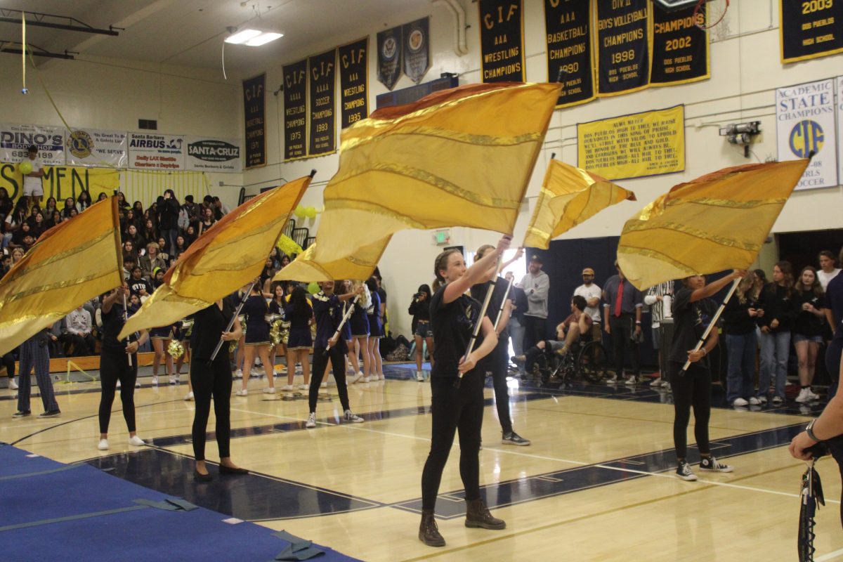 Colorguard performing in Fight Song