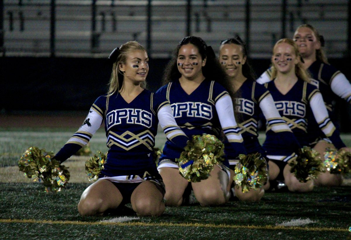 DPHS cheerleaders perform at the halftime show of
a football game.