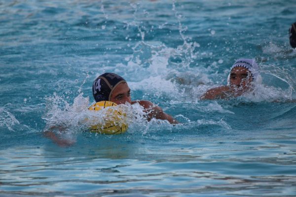 DPHS Boys Water Polo: reaching CIF, player highlights