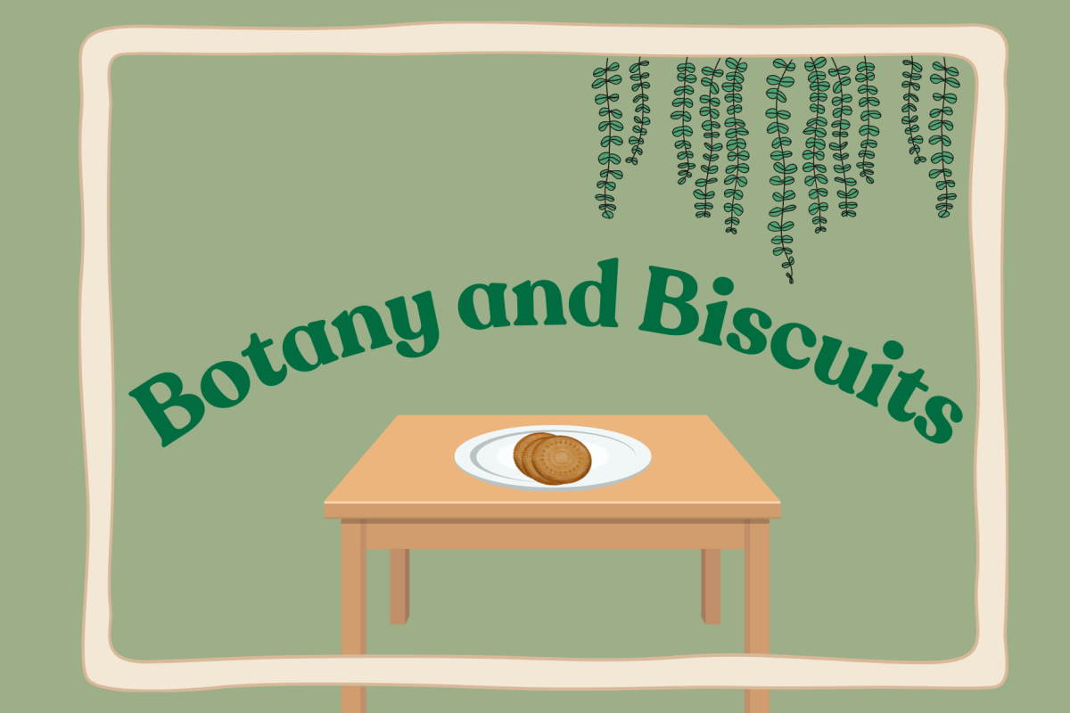 "Botany and Biscuits" graphic made in Canva