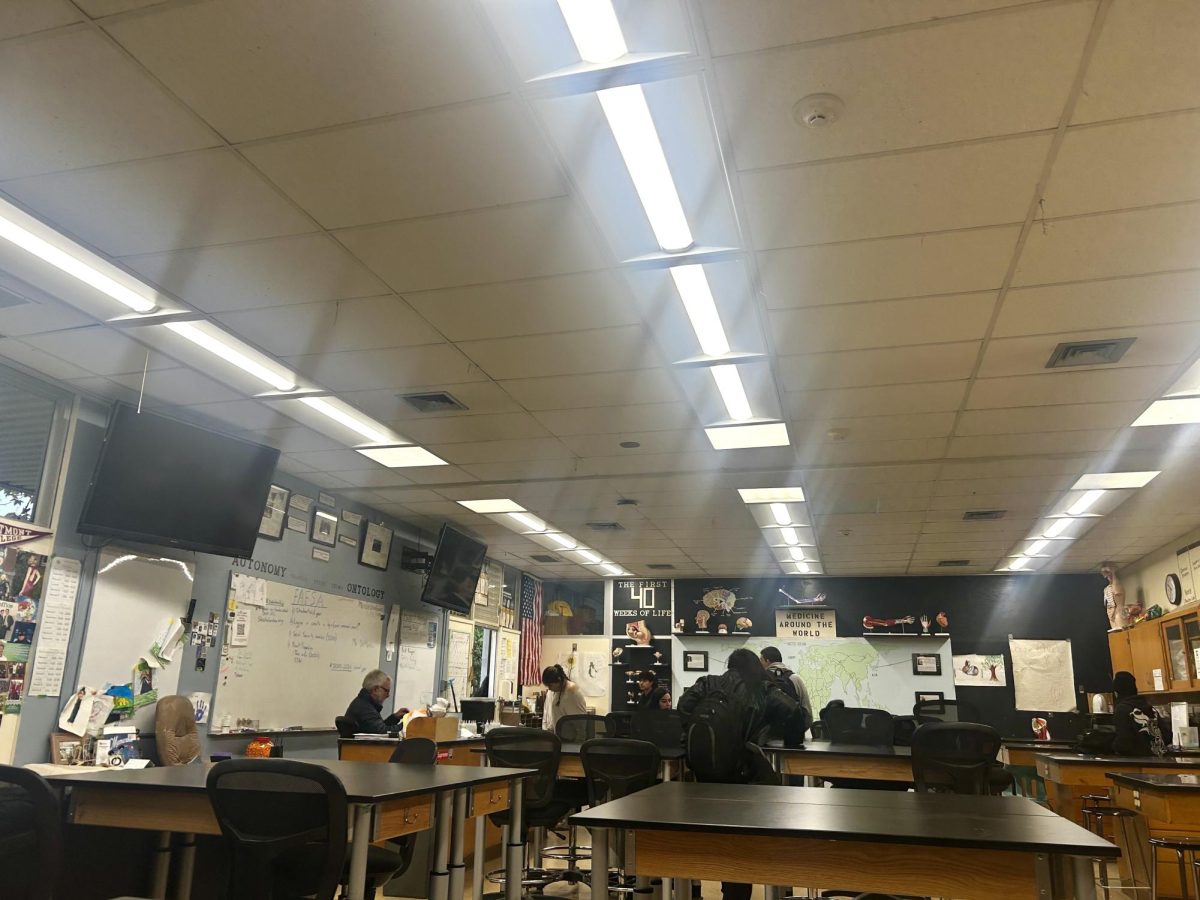 The new LED Lights from DPHS teacher Michael Lynch's classroom.