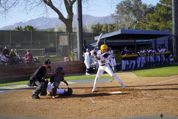 Baseball secures their spot in the championships