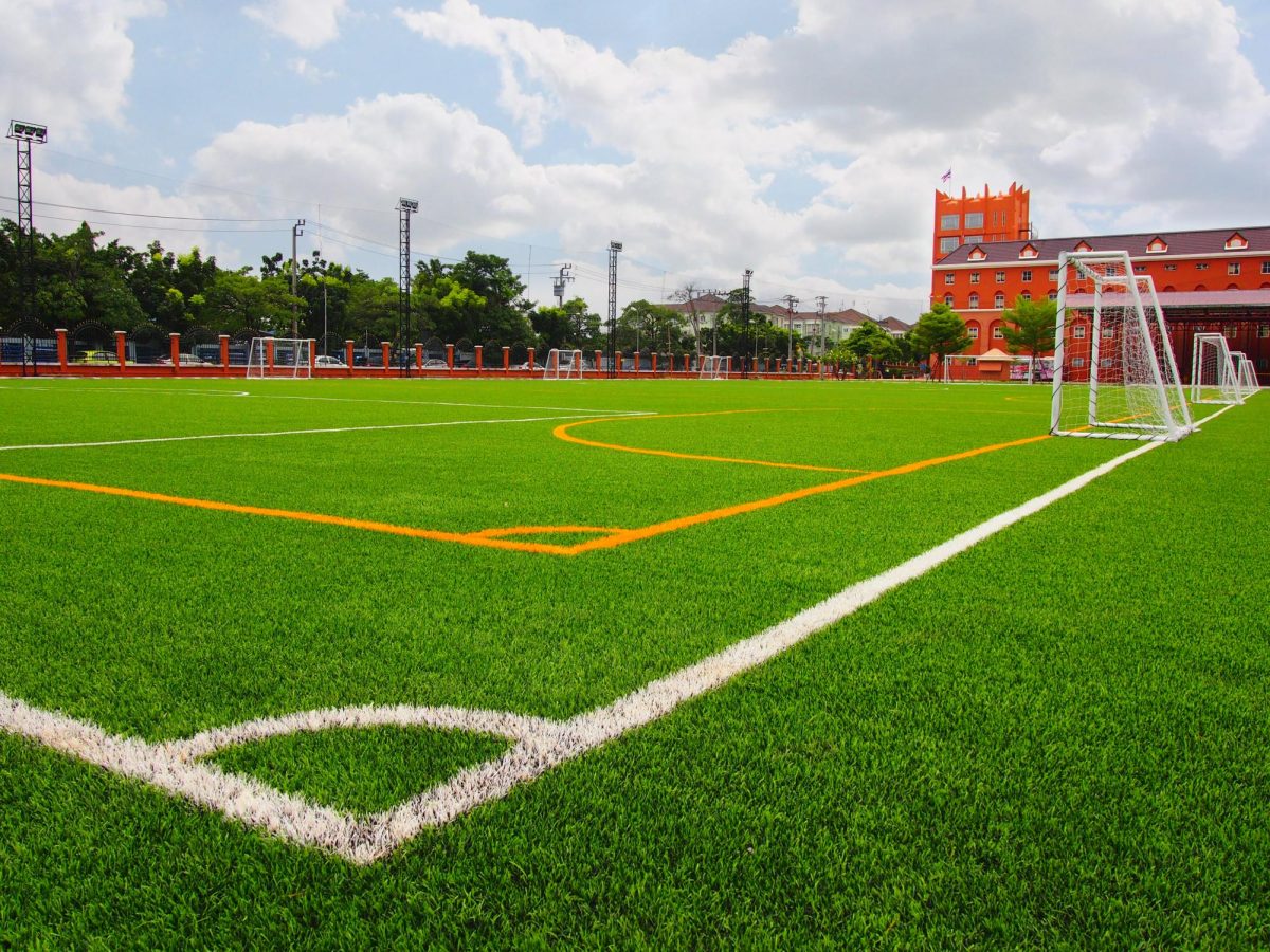Sports field with all-natural turf 