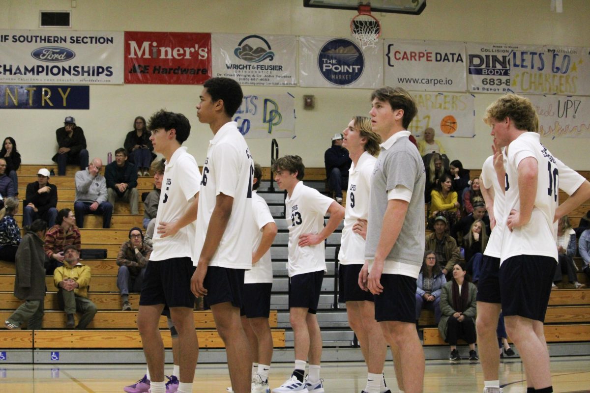 The DPHS Boys Volleyball Team
