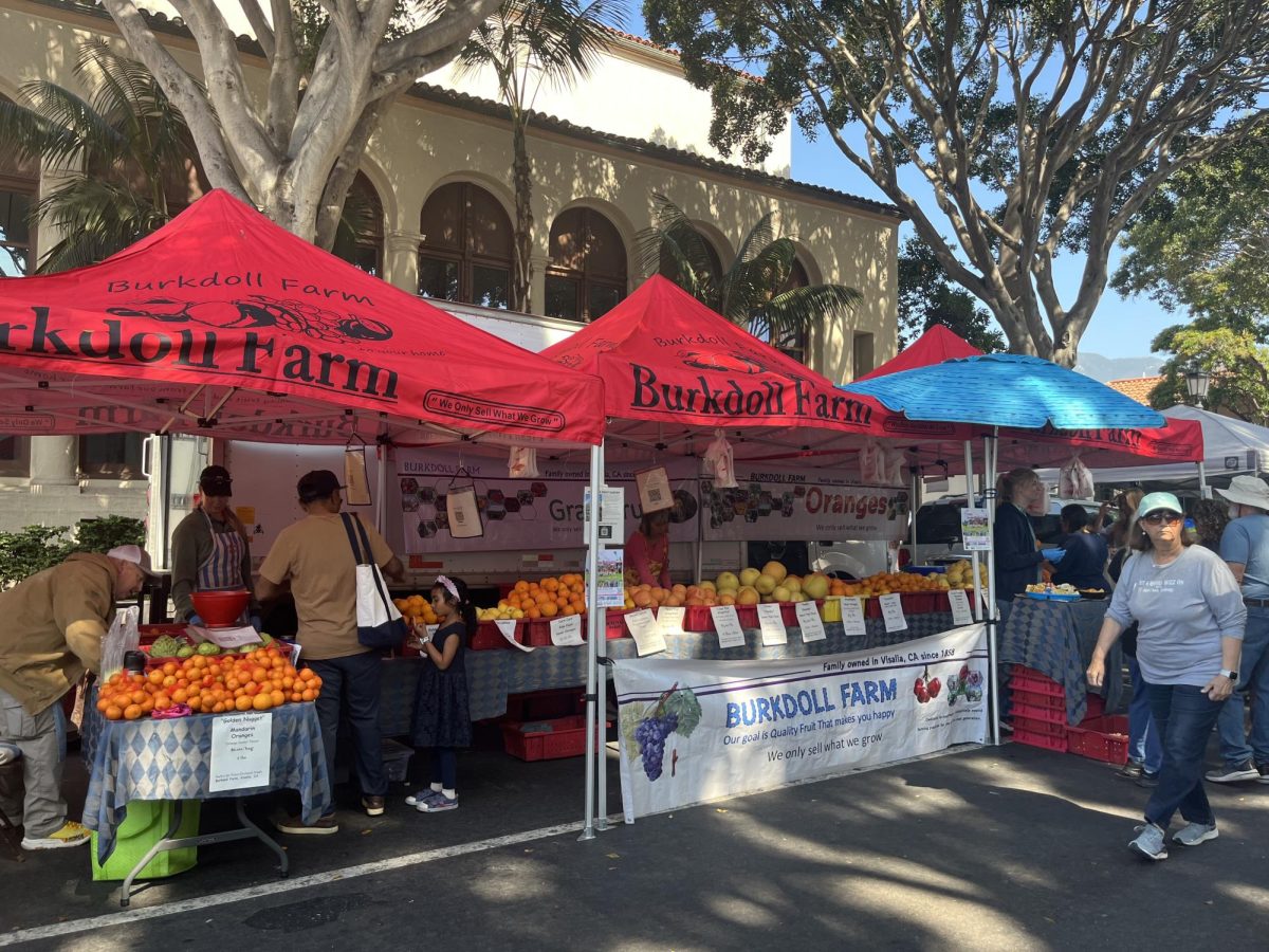 Burkdoll Farms is currently featuring oranges and grapefruits.