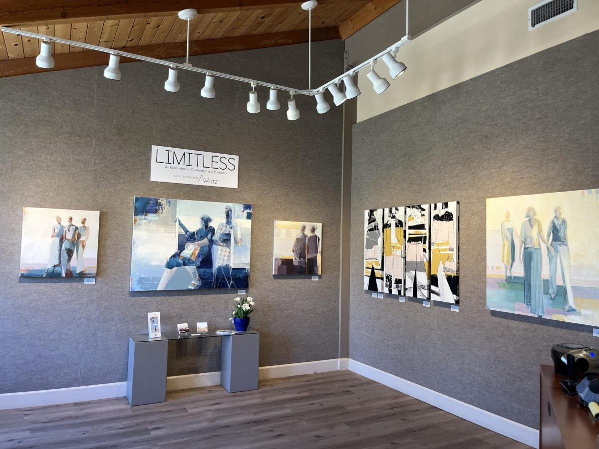 Ann Wirtz is a professional artist as well as an art teacher at the Dos Pueblos Engineering Academy.