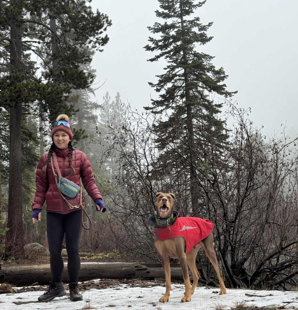 Alisa Block hikes with her dog, Dobi.
