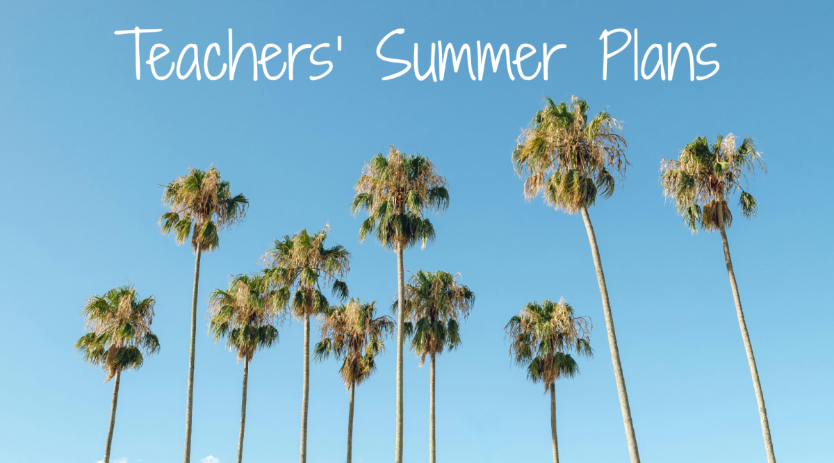 Summer graphic made in Canva.